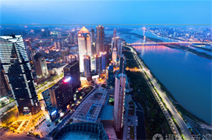 Pursuing the Beauty of Nature! Exploring the Mysteries of Shanghai's Backyard Garden!